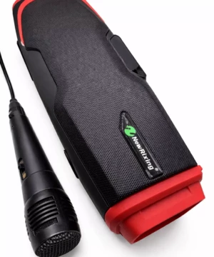 Micro filaire pour enceinte portable rechargeable